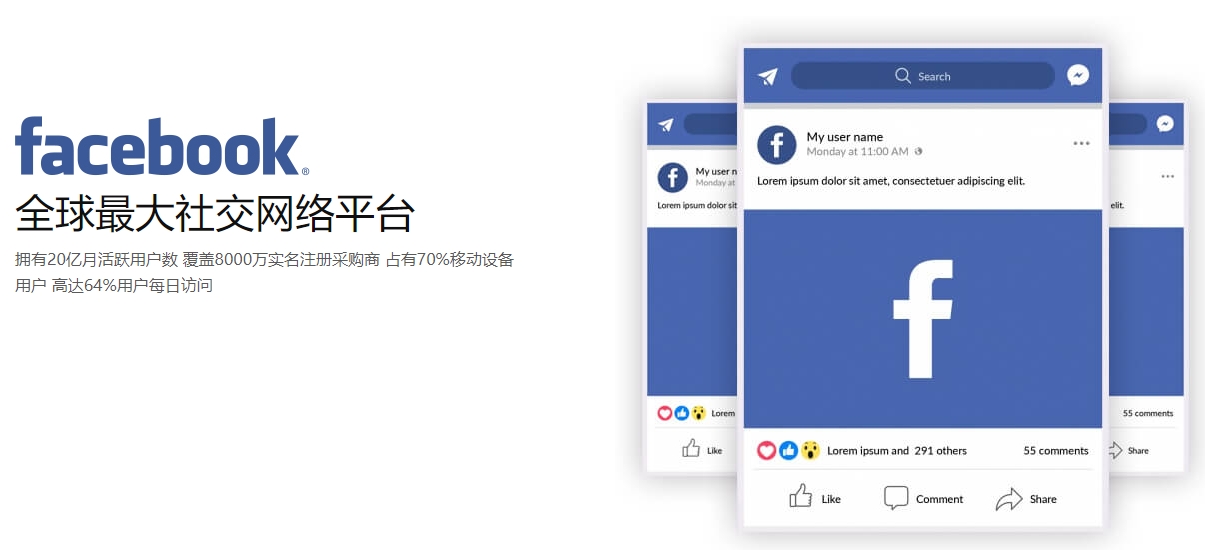 淮安海外社交媒体营销  第1张